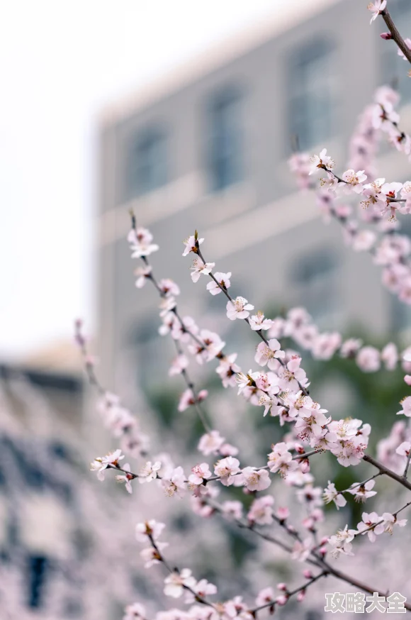 校园春色都市春天是希望的季节让我们一起迎接美好的未来