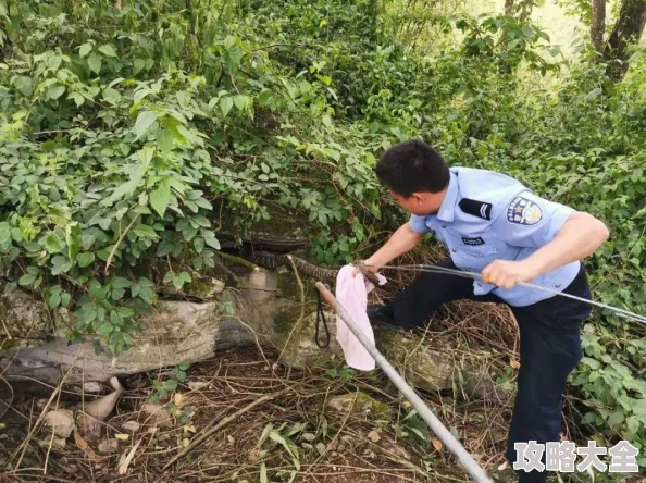 双蛇难入金银花线索中断迷雾重重悬赏金额翻倍警方呼吁知情者提供信息