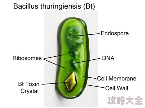 BT天堂磁力链接搜索引擎持续维护中