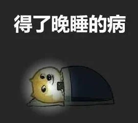 适合晚上睡不着偷偷看b站软件深夜煲剧刷片神器熬夜必备