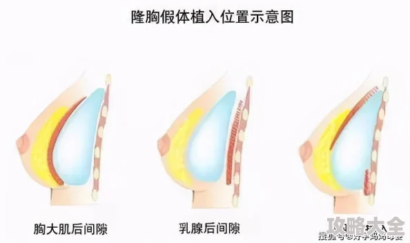 实验室催乳媚药改造据传实验对象D杯变H杯引发多方关注