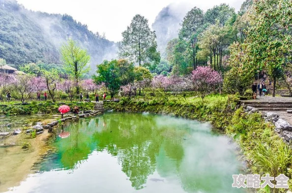 桃花源口水潺潺实景拍摄拒绝滤镜还原最真实的田园风光