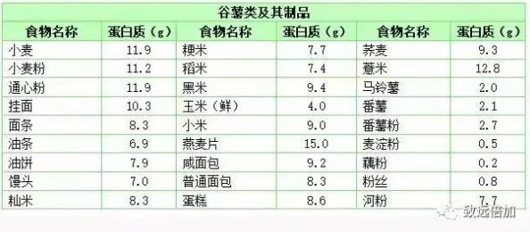 2024热门解析：食物语鼎湖上素技能属性全面详解与最新伤害图鉴一览