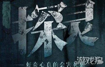 探灵手游攻略：无聊线第四次挑战布丁的道别结局最新通关技巧