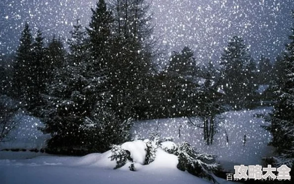 飘雪在线观看播放探索雪景浪漫与人情冷暖的诗意影像