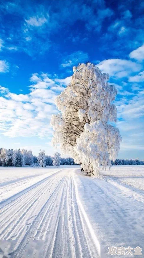 &quot;桃源深处有人家雪景喵趣玩法全攻略 雪景喵趣详细玩法指南&quot;是一份专为喜爱冬日乐趣的玩家准备的全面指南。该攻略深入探讨了如何在雪景喵趣这一游戏中尽情享受冬日乐趣，涵盖了游戏技巧、地图解析、角色设定等多方面的内容。本文将结合相关文献，为您详细解读这份攻略，帮助您在雪景喵趣的世界中畅游无阻。