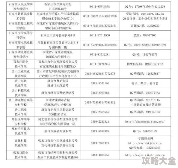 2025年《潜行者2》高效获取怪异螺栓的最新方法与技巧